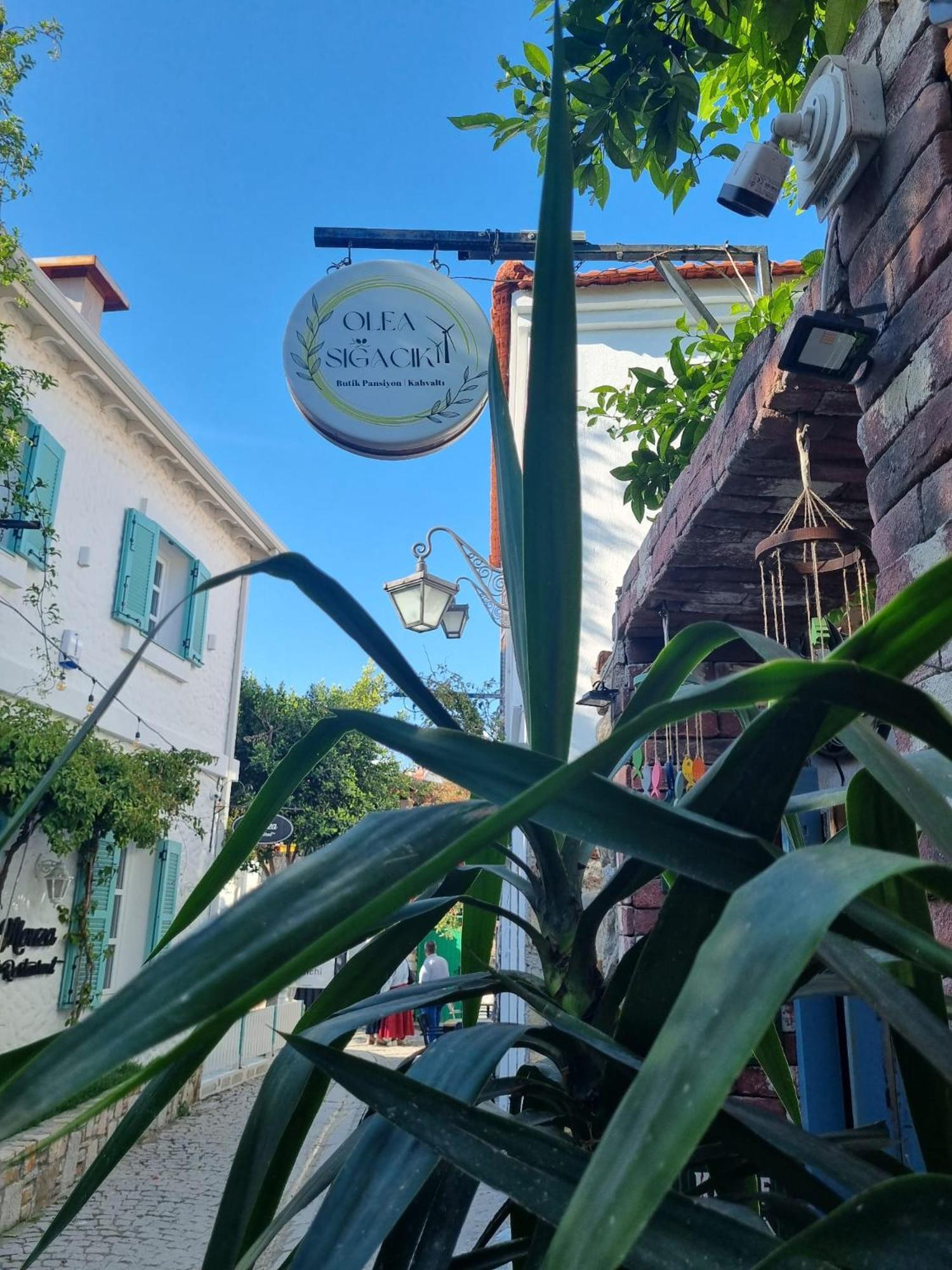 Olea Sigacik Pansiyon & Bistro Сеферихисар Экстерьер фото