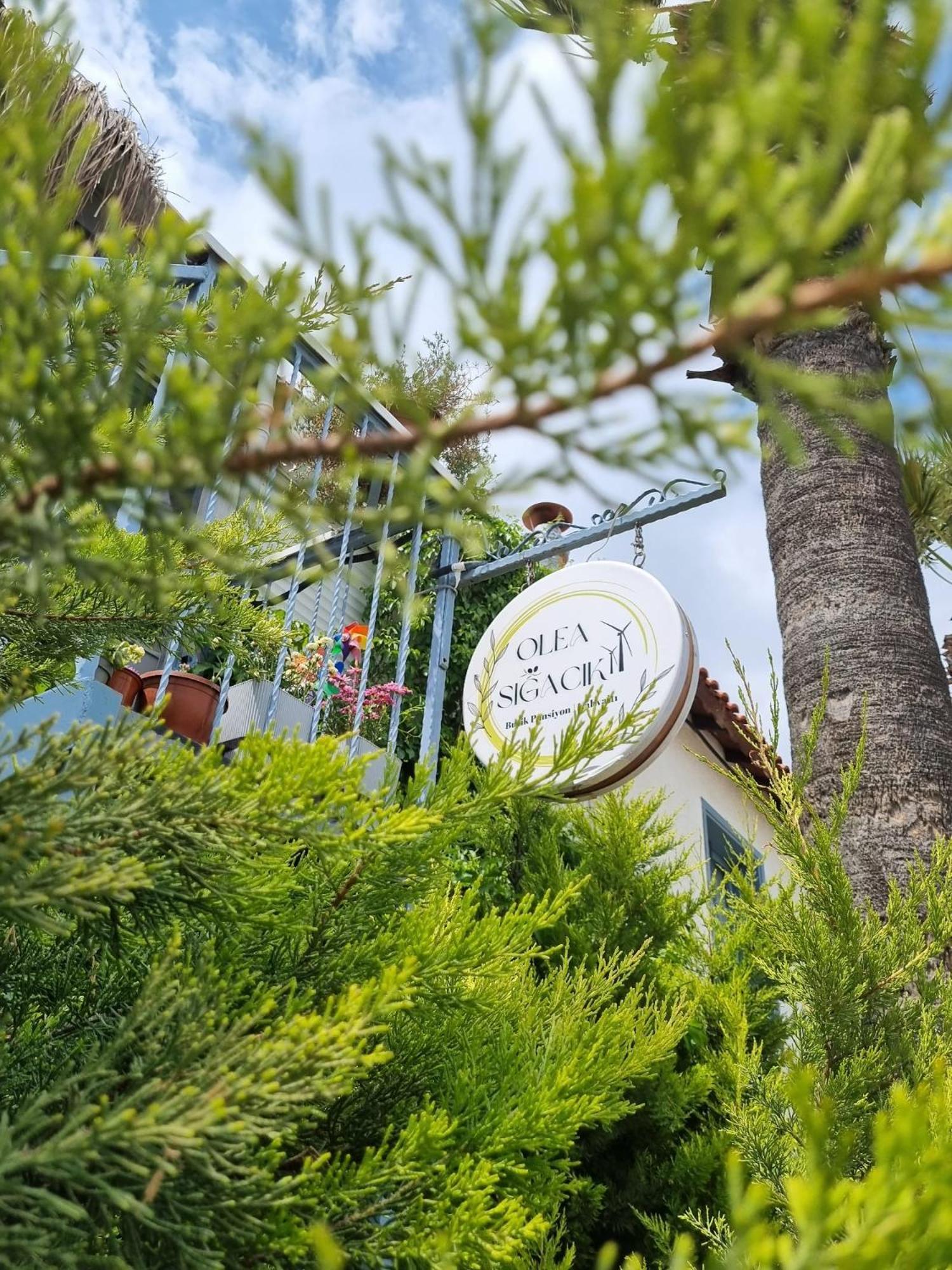 Olea Sigacik Pansiyon & Bistro Сеферихисар Экстерьер фото